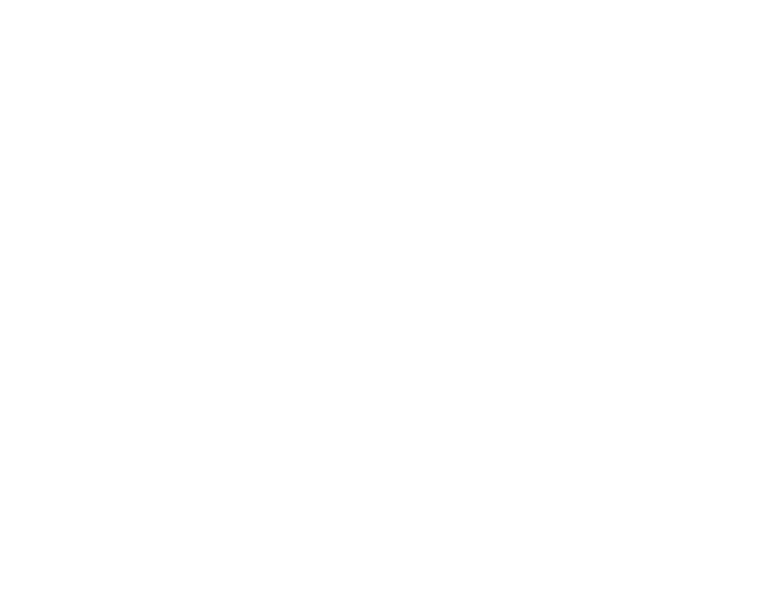 Stefanie Gründl ADVISORY Logo